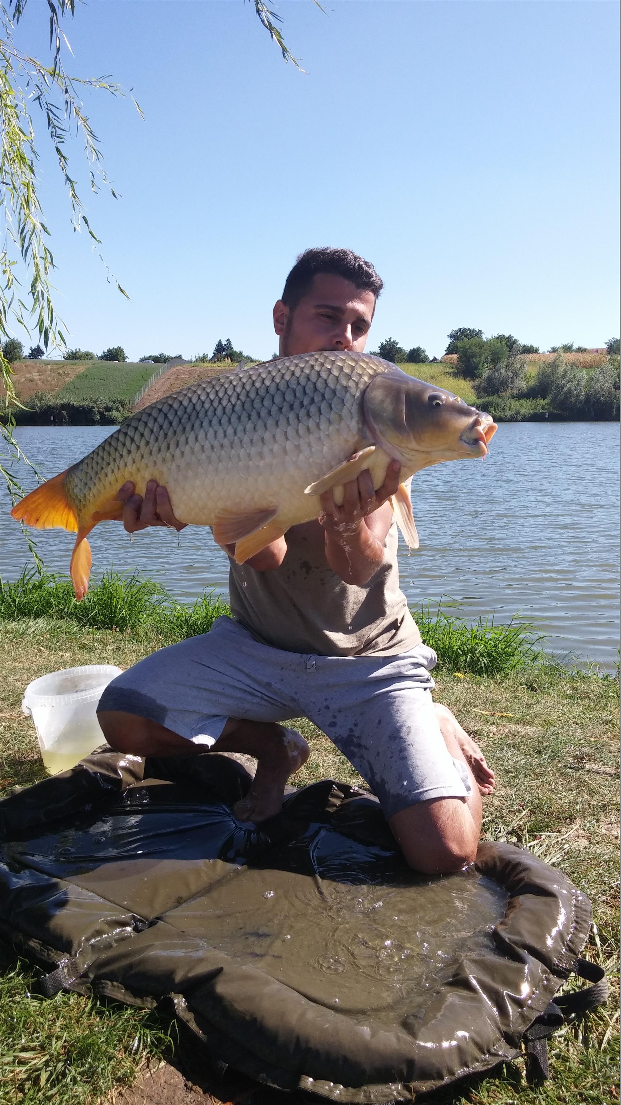 MV2 1 sept. 2015 - 2015090115433211.jpg